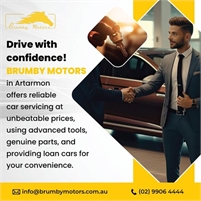  Brumby Motors