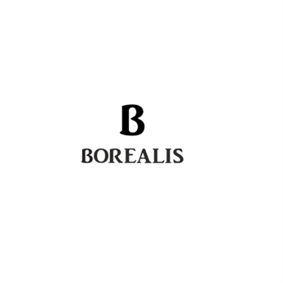 Borealis Watch Company Borealis Watch Company